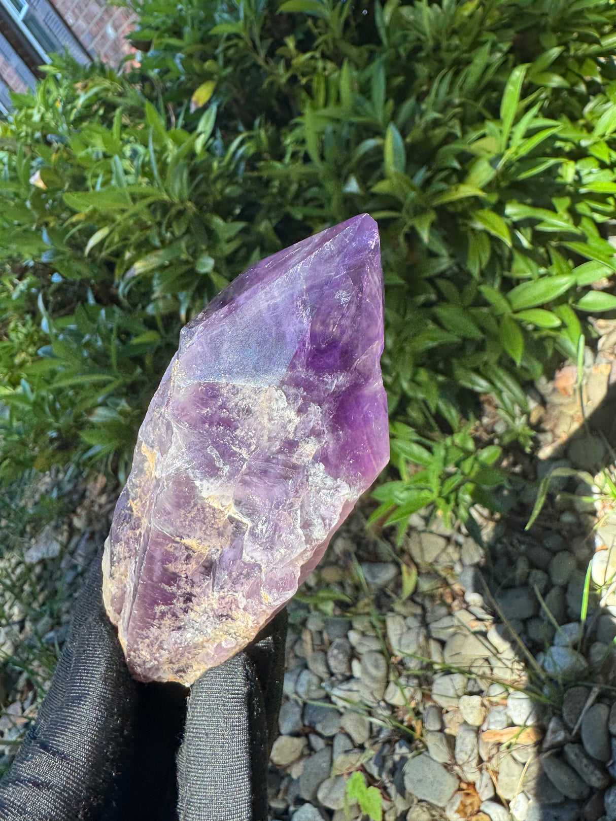 Amethyst Root Specimen - 64g