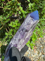 Amethyst Root Specimen - 91g