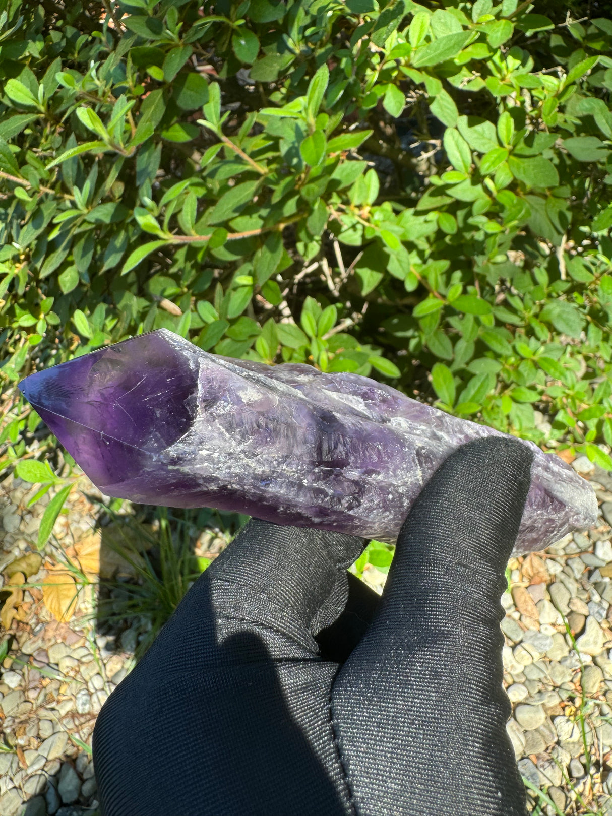 Amethyst Root Specimen - 91g
