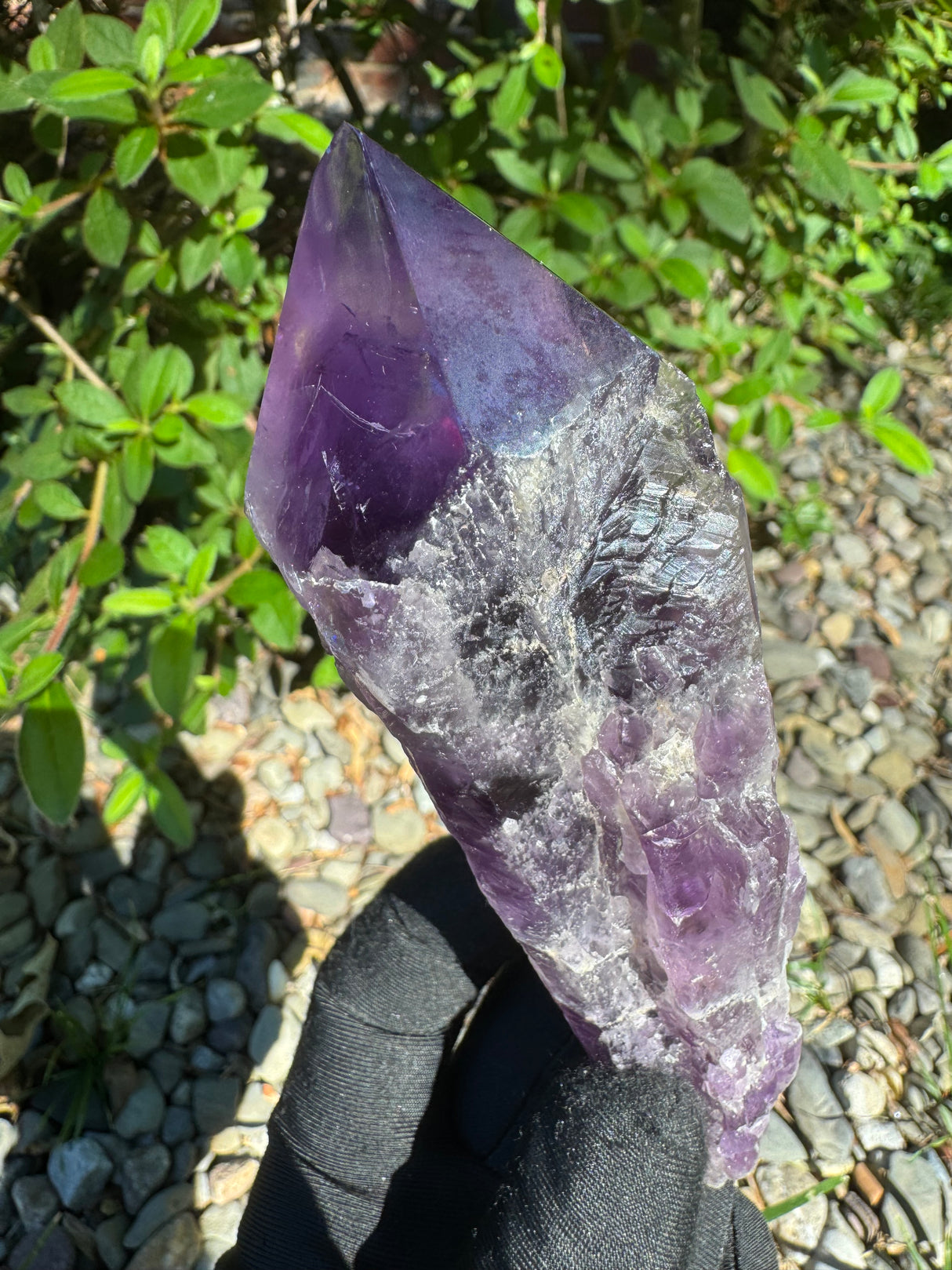 Amethyst Root Specimen - 91g