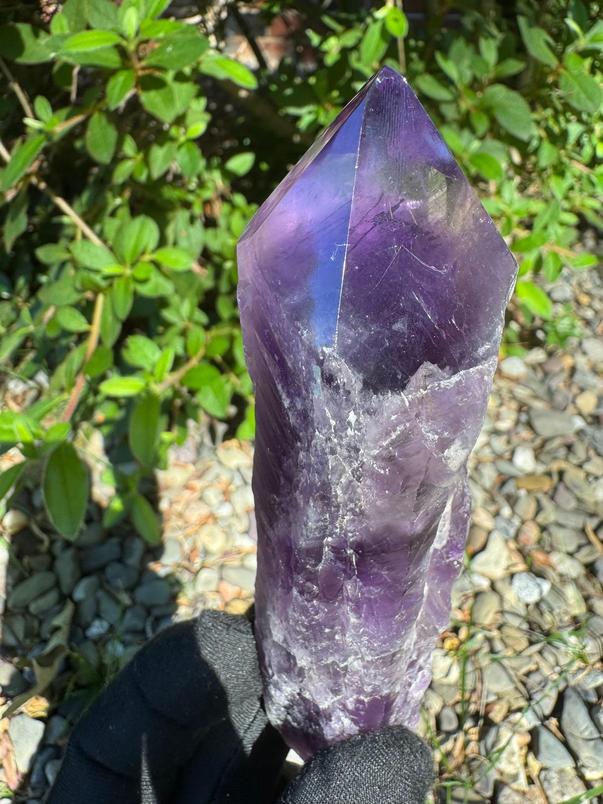 Amethyst Root Specimen - 91g