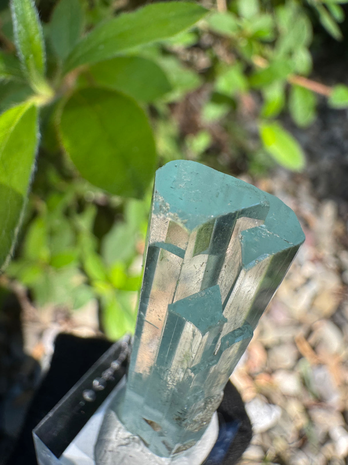 Aquamarine Crystal - 7g