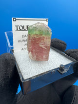 Watermelon Tourmaline Crystal - 9gm