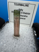 Watermelon Tourmaline Crystal - 1gm