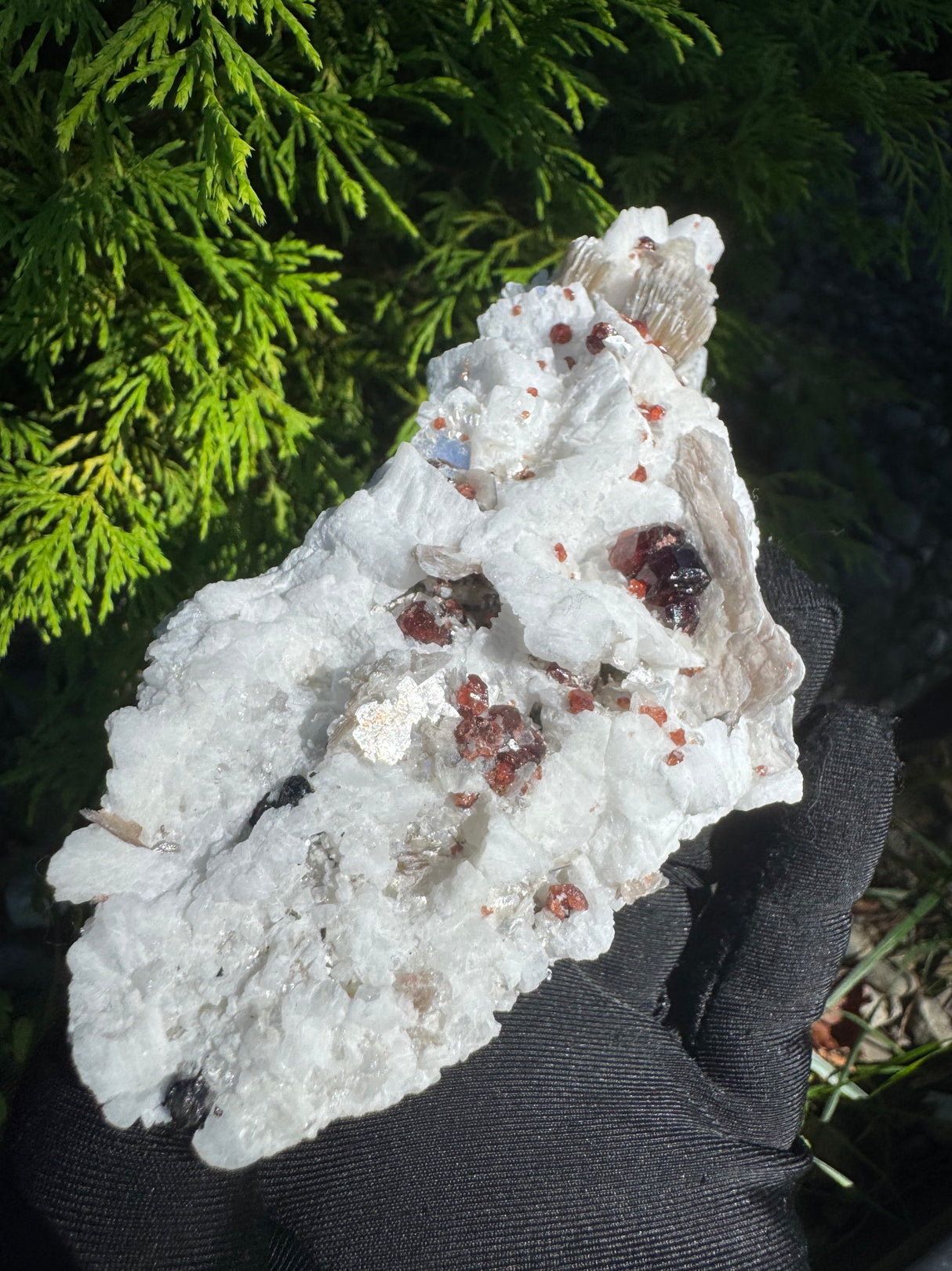 Garnet and Star Mica Specimen - 301g