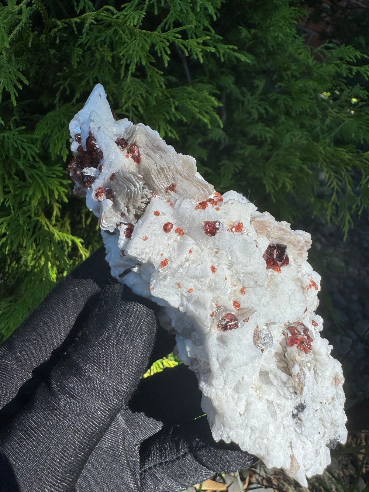 Garnet and Star Mica Specimen - 301g