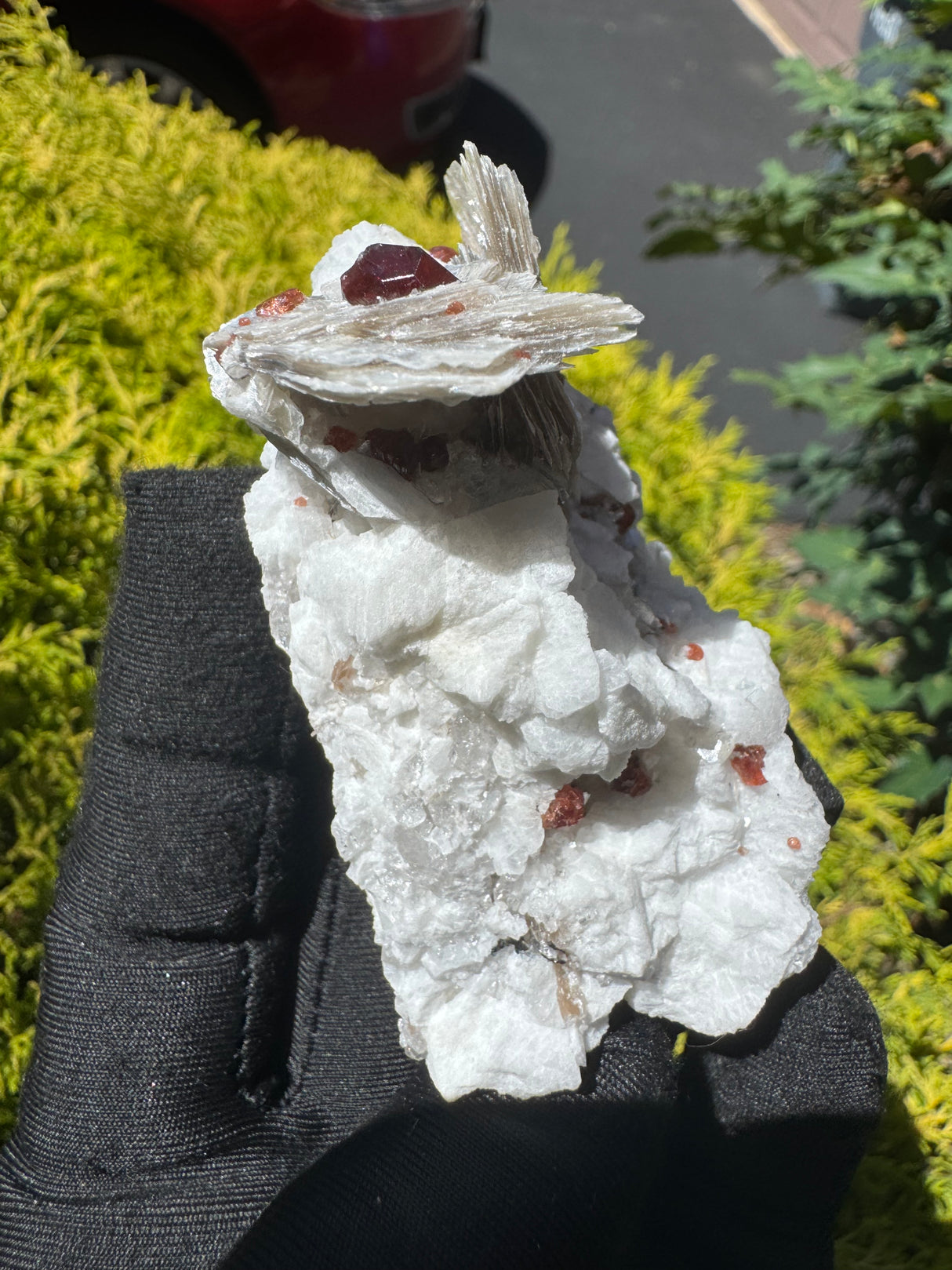 Garnet on Star Mica Specimen - 116g