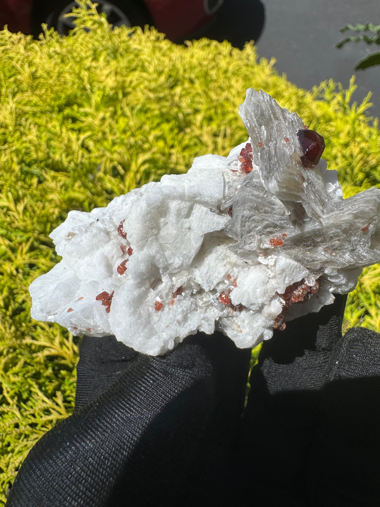 Garnet on Star Mica Specimen - 116g