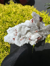 Garnet on Star Mica Specimen - 116g