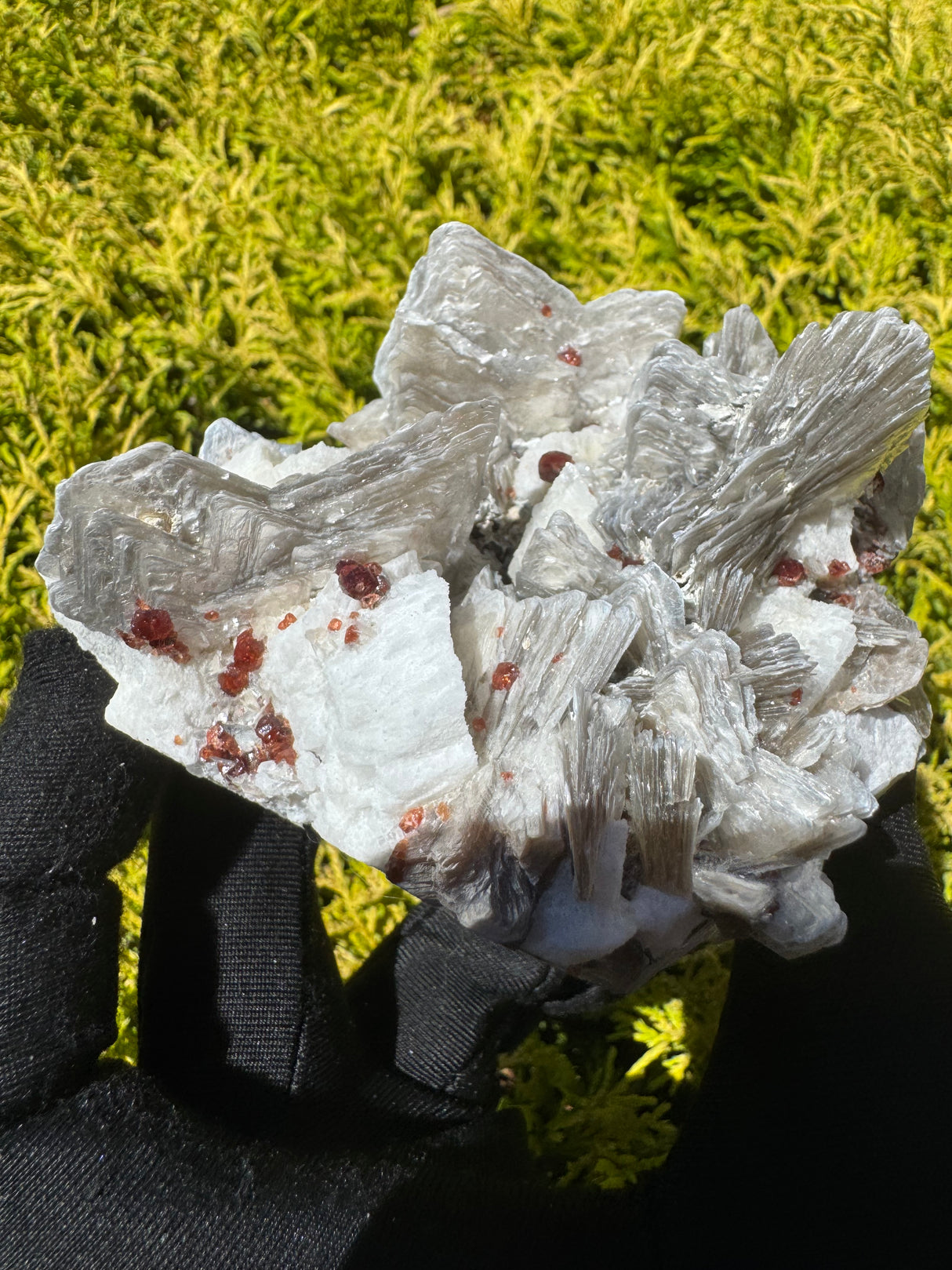 Garnet and Star Mica Specimen - 399g