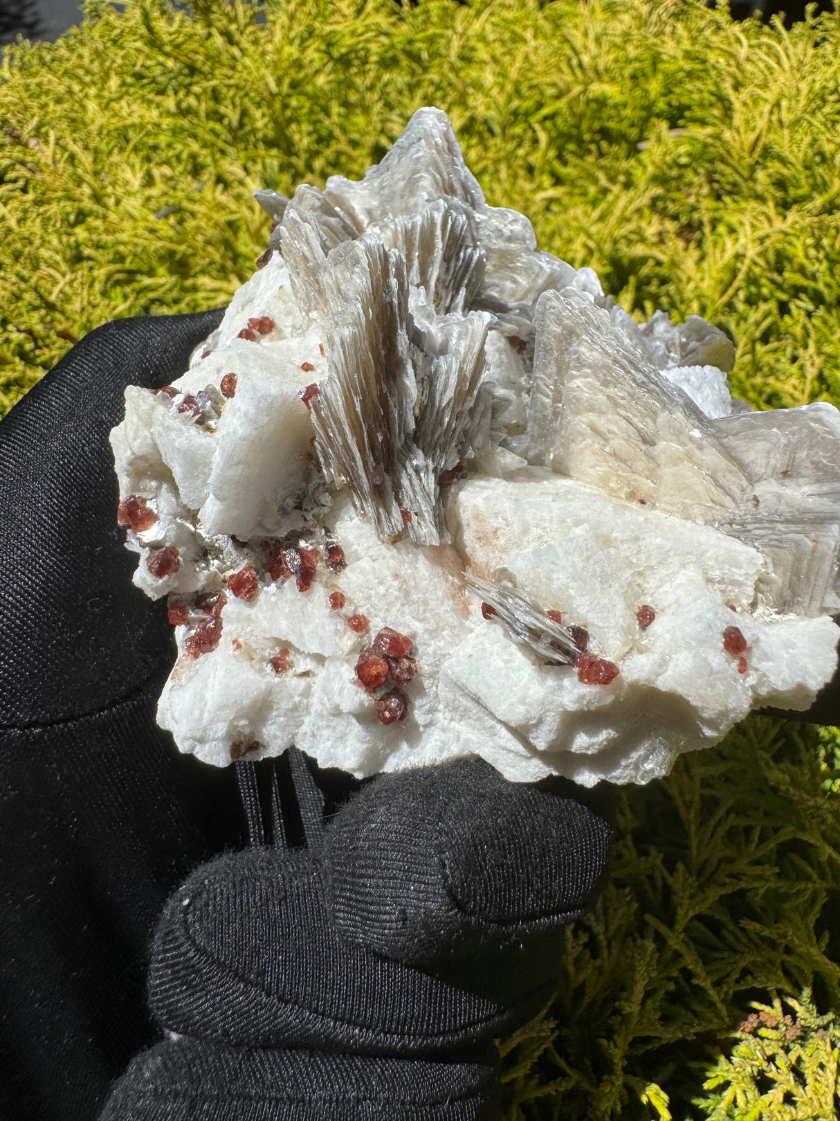 Garnet and Star Mica Specimen - 399g