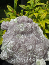 Watermelon Tourmaline Specimen - 969g