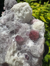 Rubelite Tourmaline Specimen - 1738g
