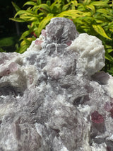 Rubelite Tourmaline Specimen - 1738g