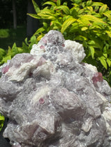 Rubelite Tourmaline Specimen - 1738g