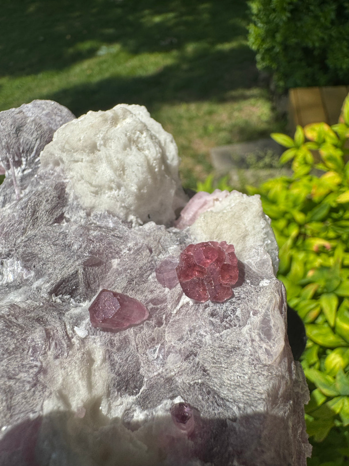 Rubelite Tourmaline Specimen - 1738g