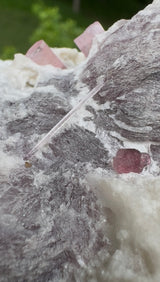 Rubelite Tourmaline Specimen - 1738g