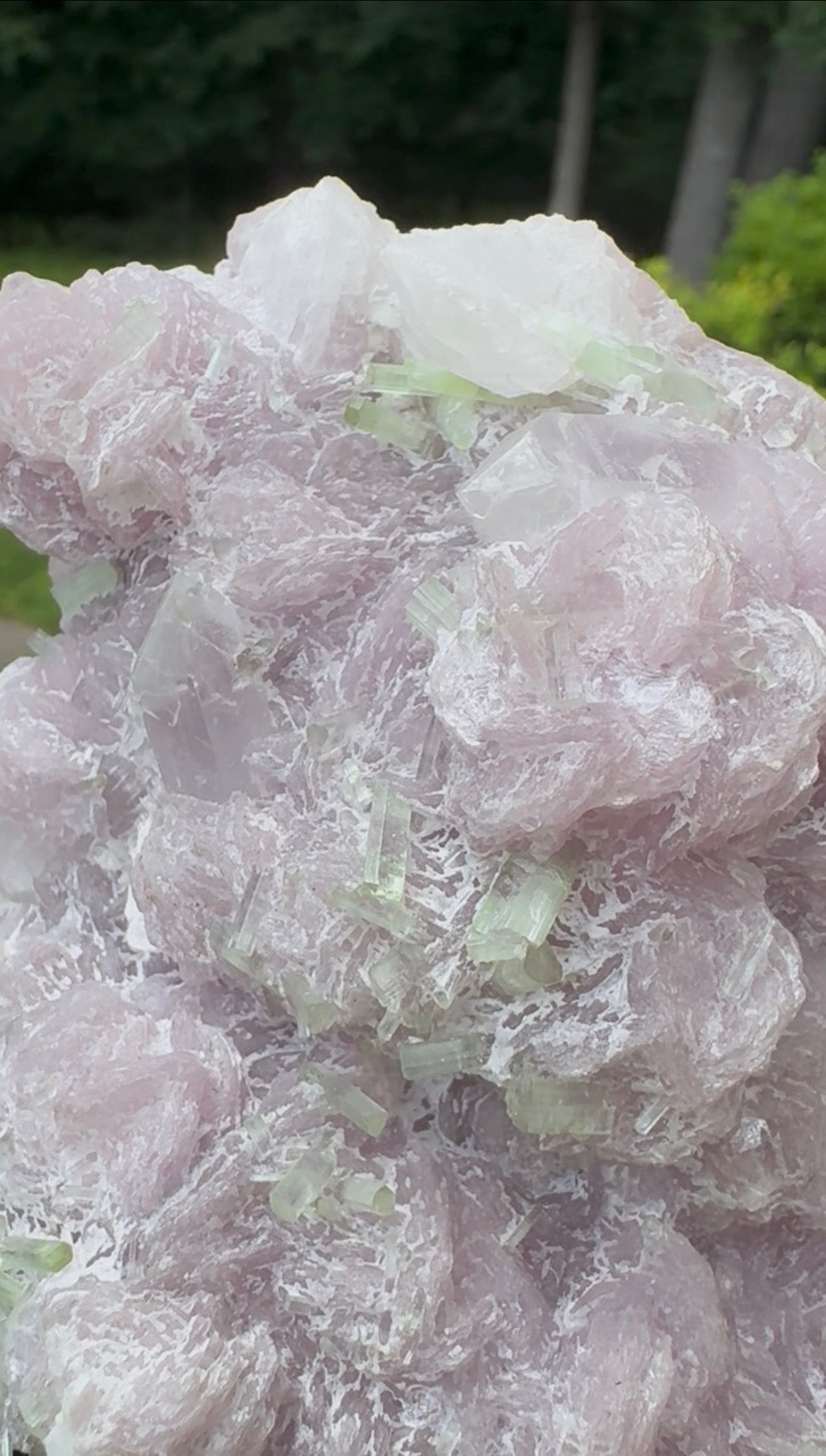 Watermelon Tourmaline Specimen - 969g