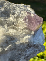Spinel Specimen - 560g