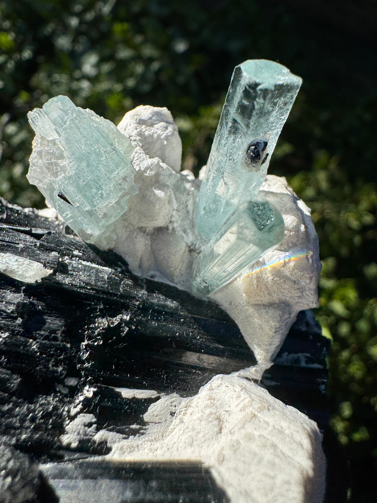 Aquamarine Specimen - 231g