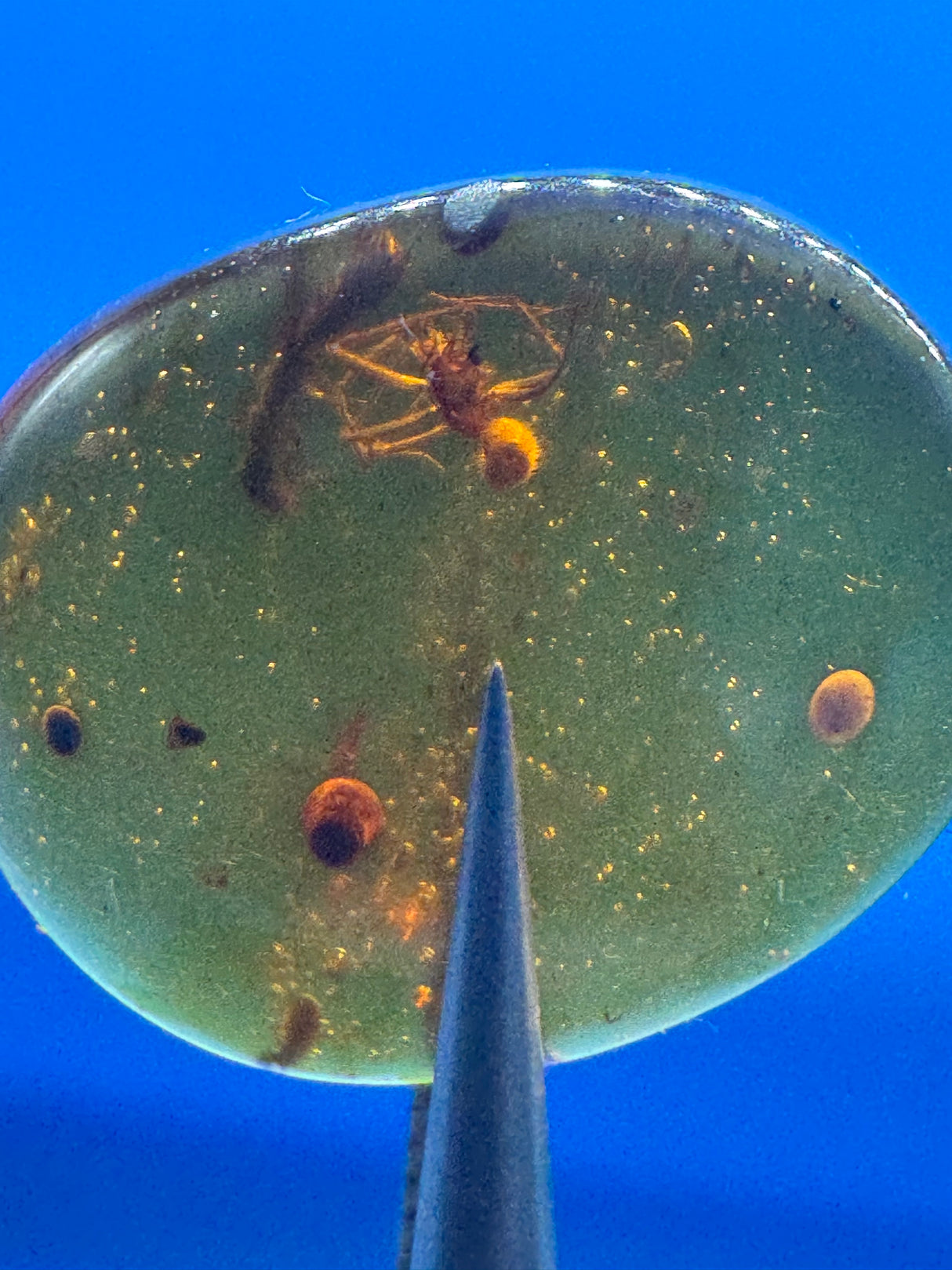 Amber Cabochon - 0.938g