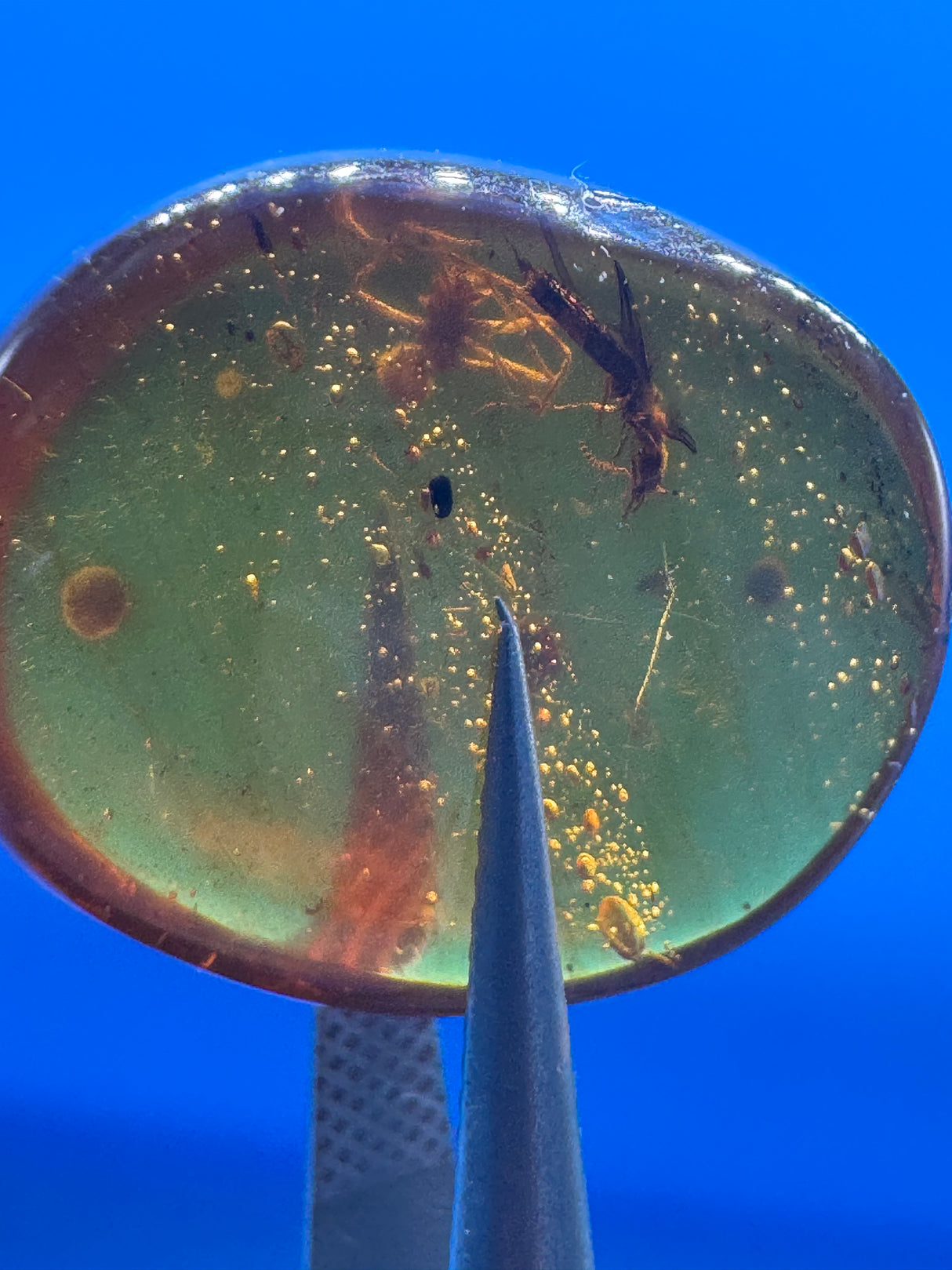 Amber Cabochon - 0.938g