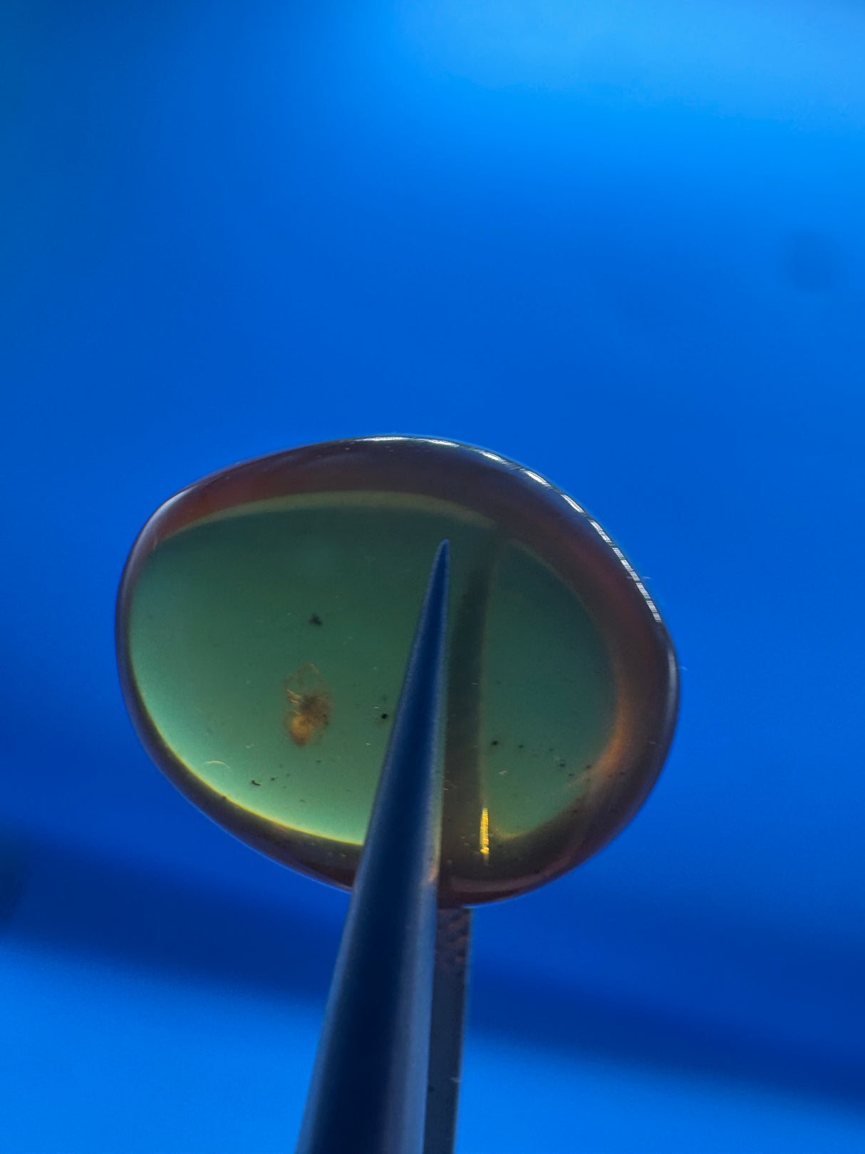 Amber Cabochon - 0.675g