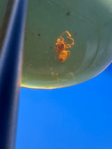 Amber Cabochon - 0.675g