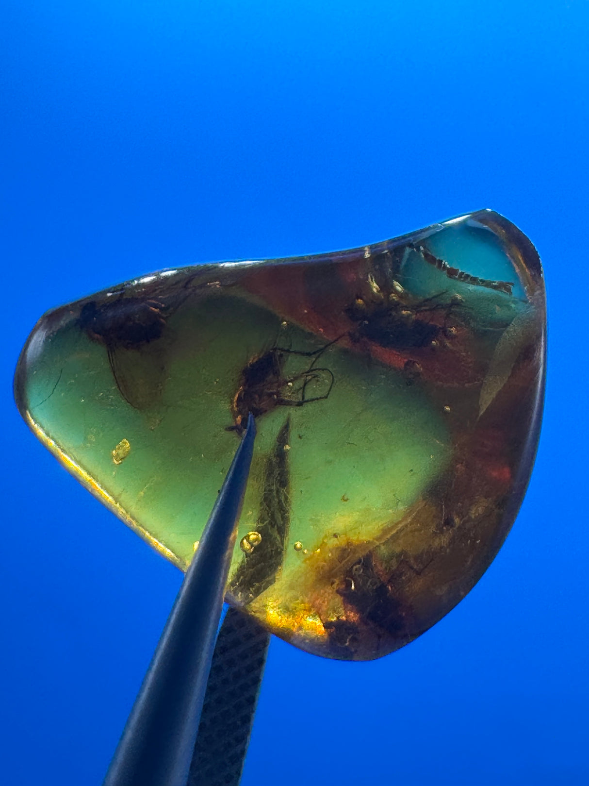 Amber Cabochon - 1.191g