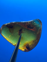 Amber Cabochon - 1.191g