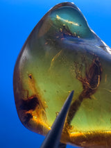Amber Cabochon - 1.191g