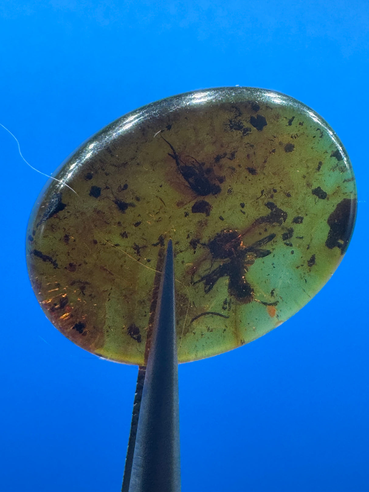 Amber Cabochon - 0.286g
