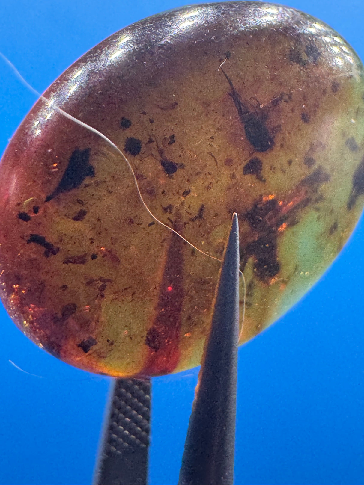 Amber Cabochon - 0.286g