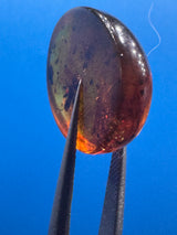 Amber Cabochon - 0.286g