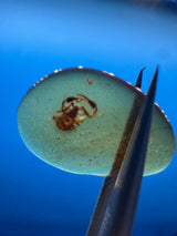 Amber Cabochon - 0.251g