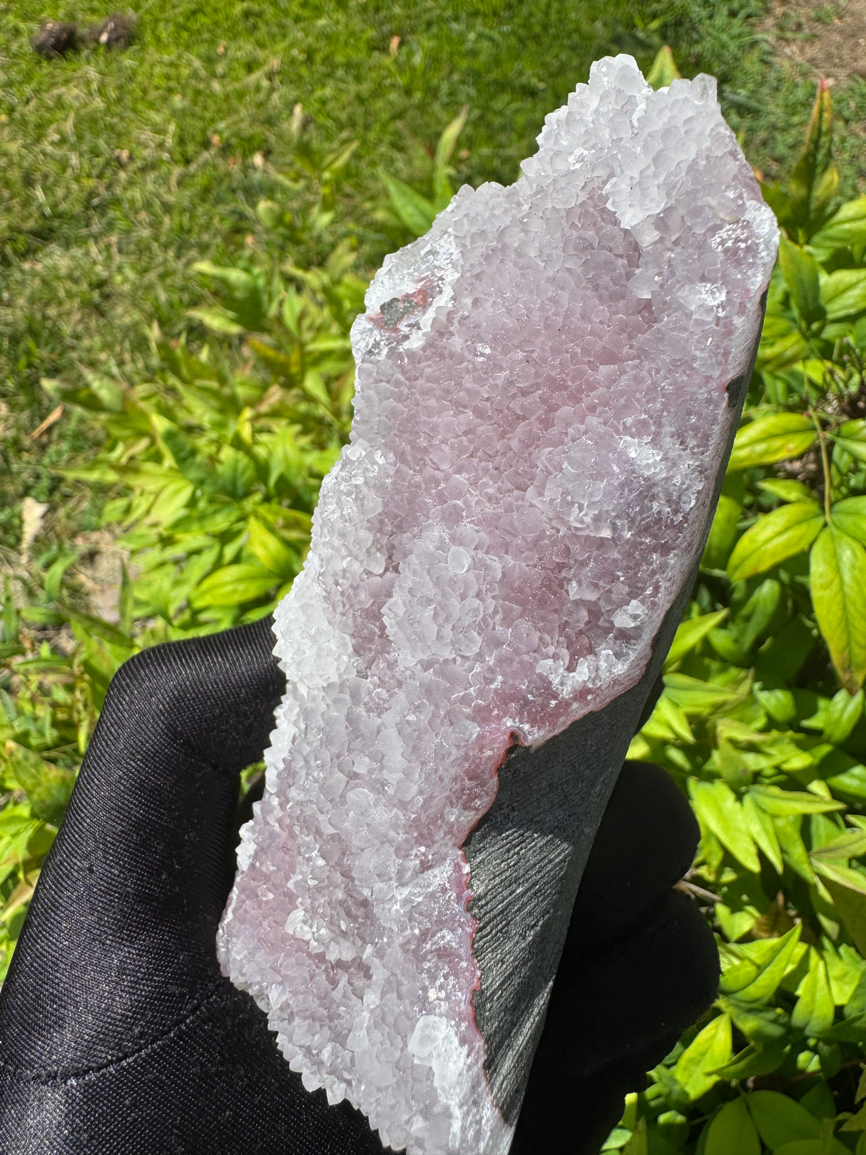 Chalcedony Specimen - 560g