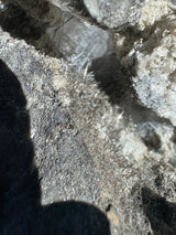Quartz Specimen - 3.94lb