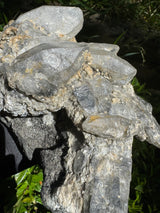 Quartz Specimen - 3.94lb