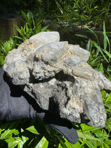 Quartz Specimen - 3.94lb
