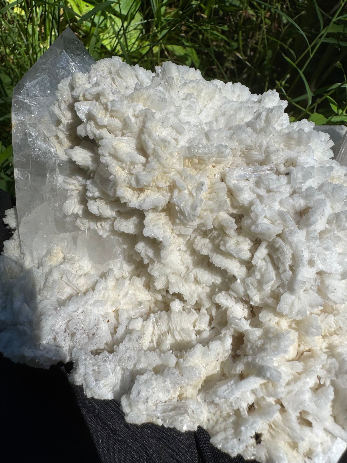 Quartz Specimen - 5.78lb