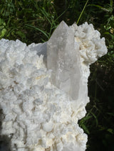 Quartz Specimen - 5.78lb
