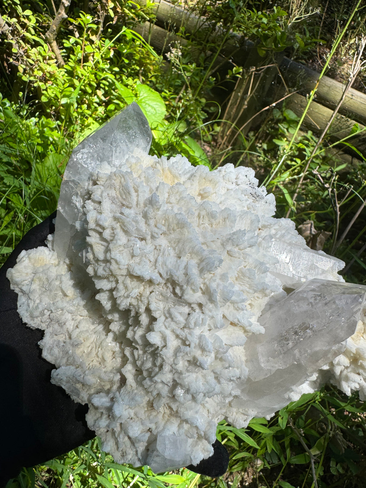 Quartz Specimen - 5.78lb