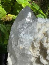 Quartz Specimen - 5.78lb