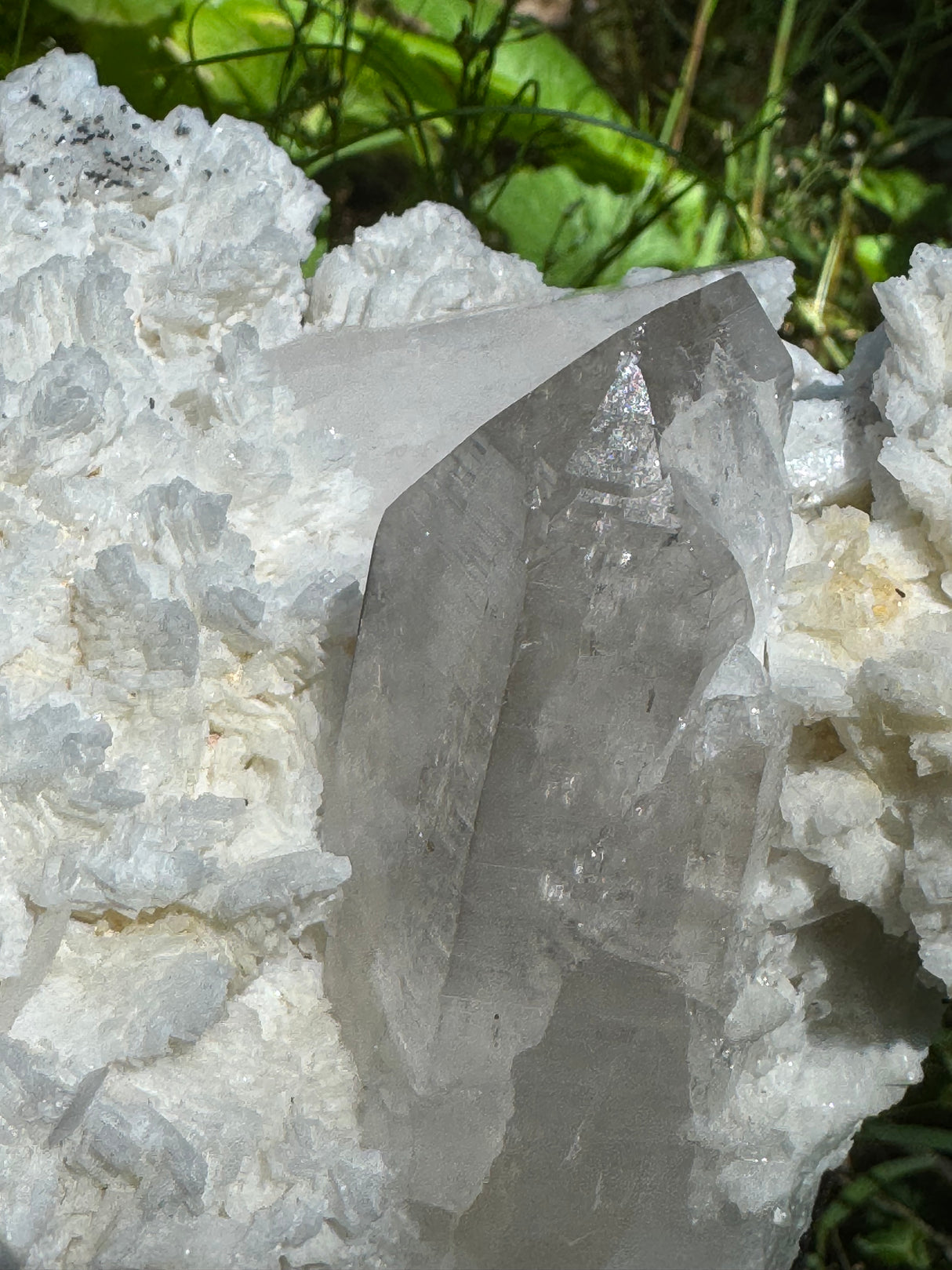 Quartz Specimen - 5.78lb