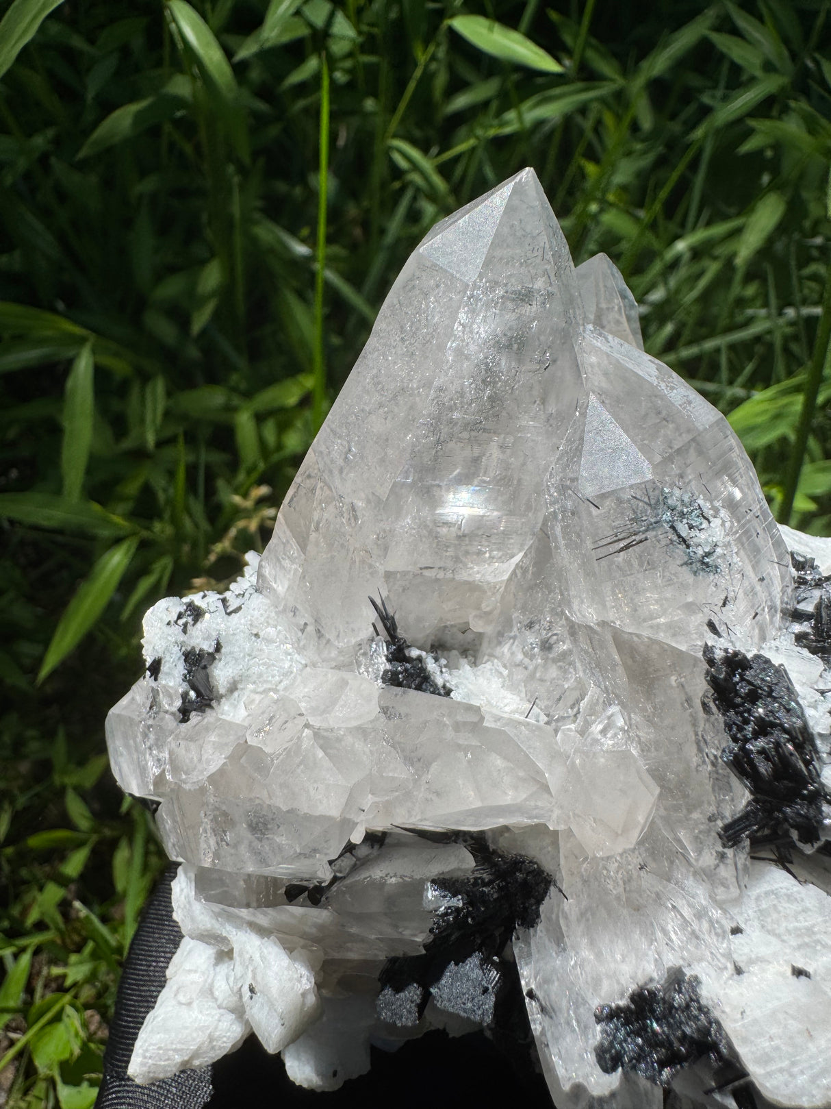 Black Tourmaline Specimen - 1198g