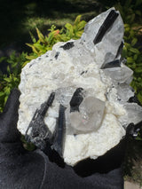 Black Tourmaline & Quartz - 726g