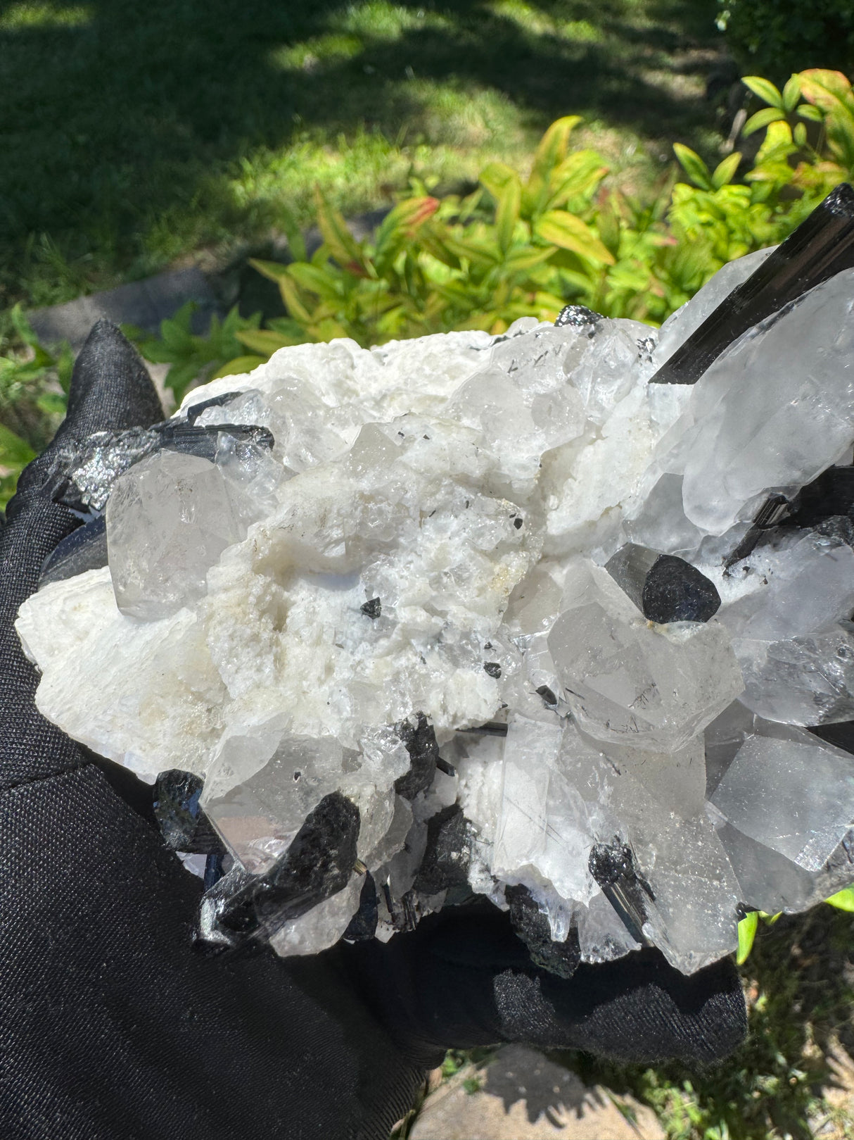Black Tourmaline & Quartz - 726g