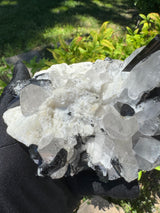 Black Tourmaline & Quartz - 726g