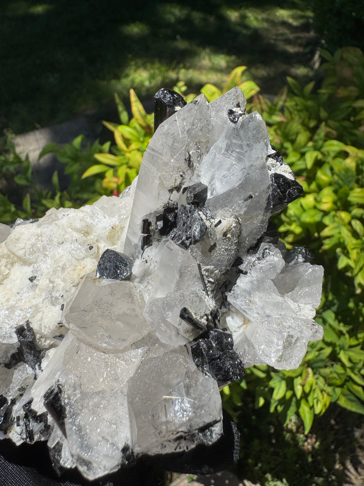 Black Tourmaline & Quartz - 726g
