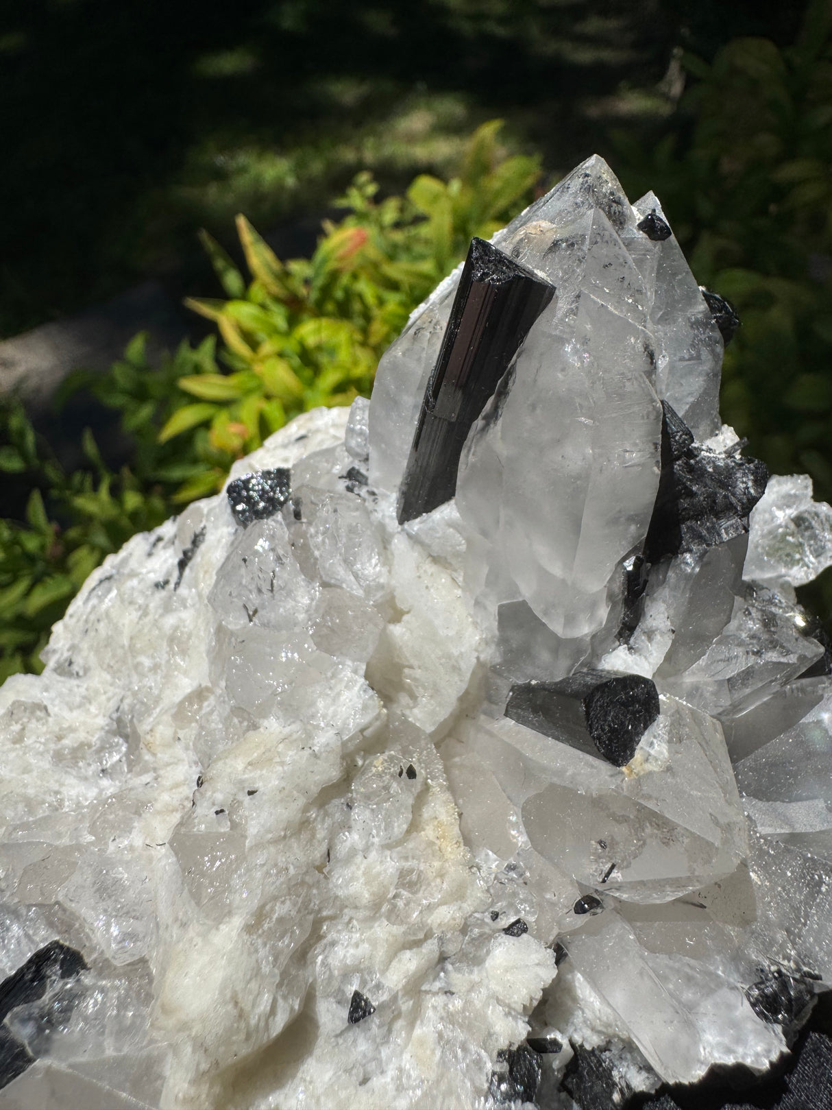 Black Tourmaline & Quartz - 726g
